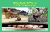 Flouride removal ppt BY PMD.RAFI,MTECH (SVU)