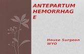 Ante partum haemorrhage by dr wyo