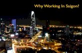 Why #Working in #Saigon?