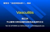 Vasculitis 2013