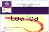 Loa loa(1)