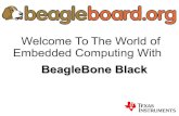 BeagleBone Workshop
