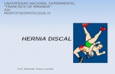 Hernia Discal Presentacion