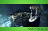 Violent python