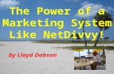 The Power of a Marketing System! NetDivvy Is The Answer