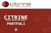 Citrine Portfolio RU