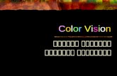 NW2005 Color vision