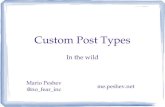 Custom Post Types in the wild (WordCamp Sofia 2012)