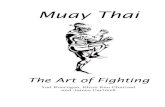 Muay thai -the art of fighting