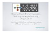 How to Profit from Innovation - The Agile Learning Organization