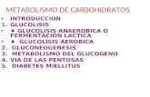Metabolismo de Carbohidratos Diapositivas