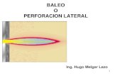 Perfo Lateral