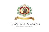 Travian Guide