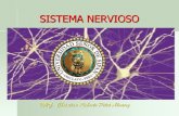 Sistema Nervioso c. Pitot
