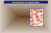2 7 Patología plaquetaria (Tema 15)