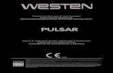 Manual Pulsar