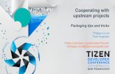 Tizen upstream-coop-tdc2014-pcoval