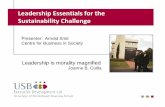 Leadership essentials for the sustainability challenge
