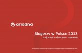 Blogerzy w Polsce 2013