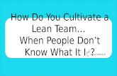 Cultivating Lean Startup Teams When People Don't Know What It Is (or Are Hostile to It) by Emily Holmes