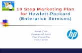 MM Marketing - 10-Step Marketing Plan - by 3Musketeers
