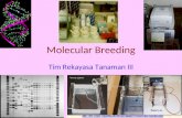 Molecular Breeding 03