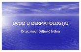 Uvod u Dermatologiju Za Dermatologiju