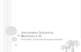 Aula 07 Anatomia Vegetal 01 - Introducao e Meristemas