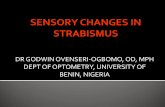 Sensory Changes in Strabismus