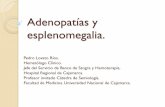 Adenopatias y Esplenomegalia