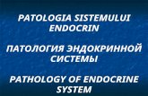 25. Patologia endocrina