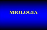 Slide Miologia