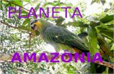 Planeta Amazonia
