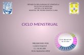 Seminario Ciclo Menstrual