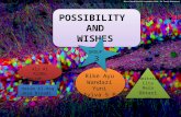 Possibility and Wishes