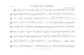 Alma Llanera (Trio)