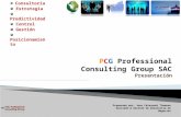 Presentación Soluciones, Servicios & Negocios PCG