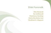 Disk Forensik