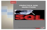 PRÁCTICA SQL INJECTION