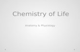 Chemistry of the Human Body Powerpoint Lecture