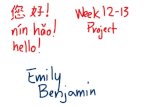 Emily benjamin w12 13 project