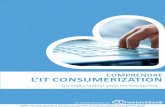 Comprendre l’IT Consumerization - Guilhem Bertholet