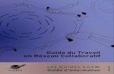 Guide cgem guide du travail en réseau collaboratif