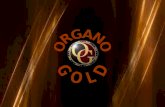 Organo Gold Romania 2013