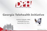 Georgia 2013 telehealth presentation