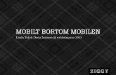 Mobilt bortom mobilen -  webbdagarna 2013