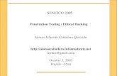 Penetration Testing / Ethical Hacking