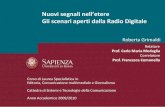 Radio Digitale (DAB, DAB+, DMB)_Roberta Grimaldi