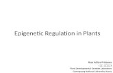 Epigenetic regulation in plants