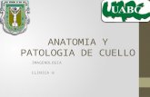 anatomia y patologia de cuello.pptx